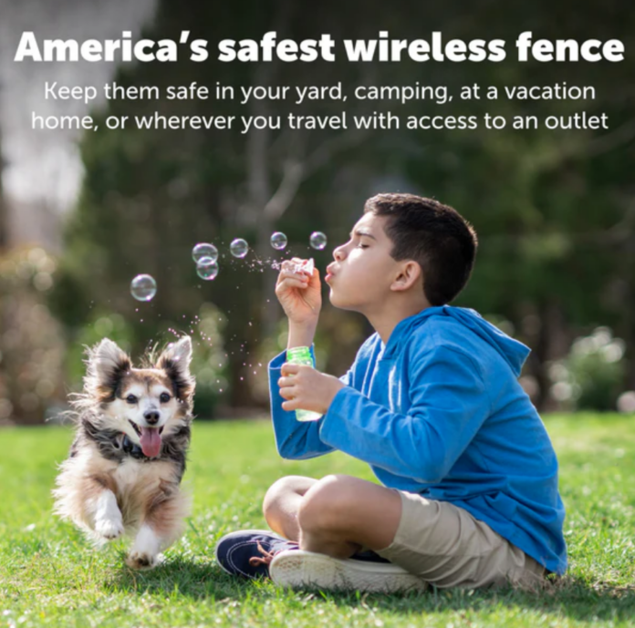 Virtual Fence Review 2024: Best Wireless Pet Containment Systems